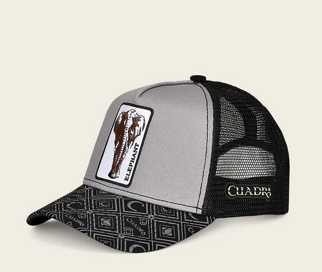 CUADRA GORRA DISENO  ELEFANTE