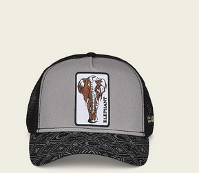 CUADRA GORRA DISENO  ELEFANTE